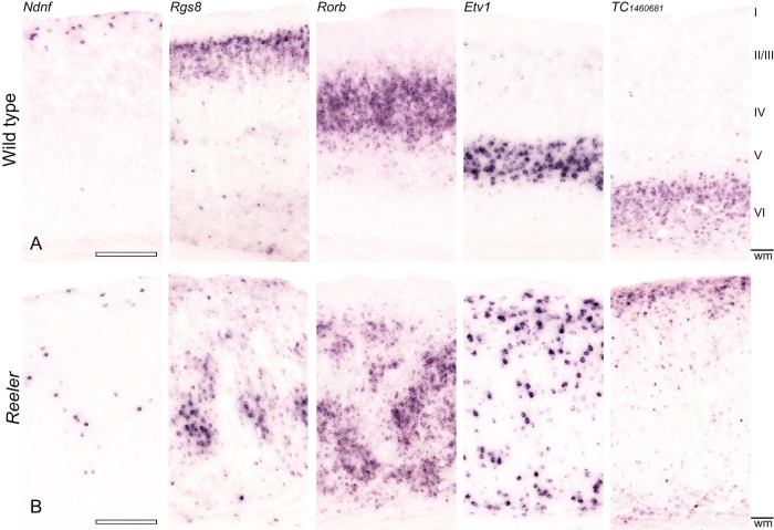 Figure 1.