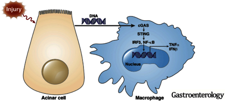 graphic file with name nihms-985662-f0001.jpg