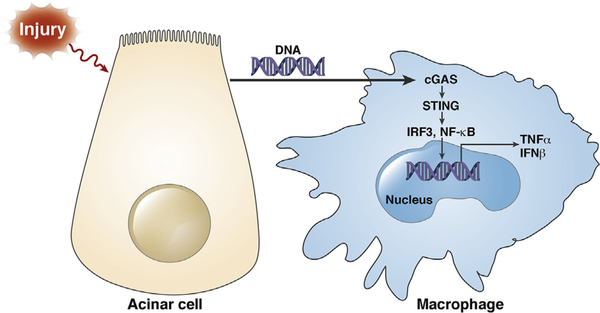 Figure 7.