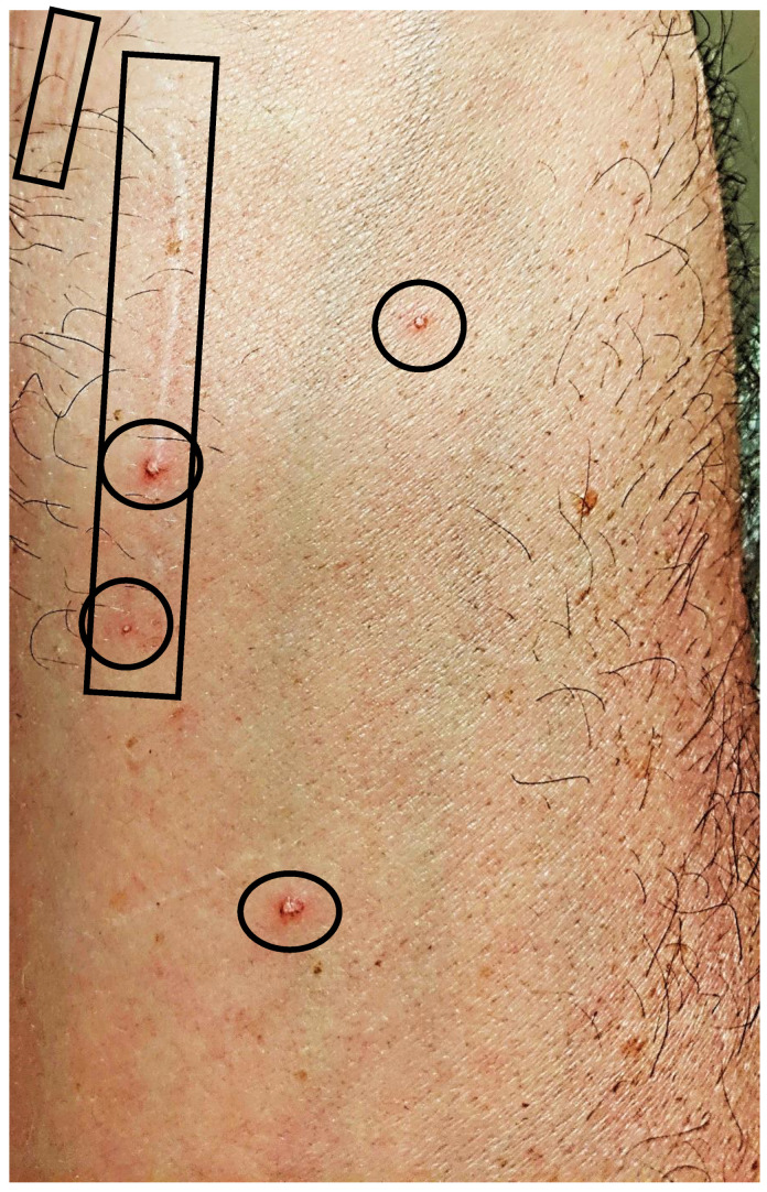 Figure 9