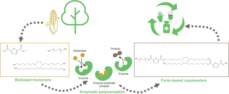 graphic file with name d3ra03885h-ga.jpg