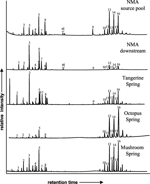 FIG. 1.