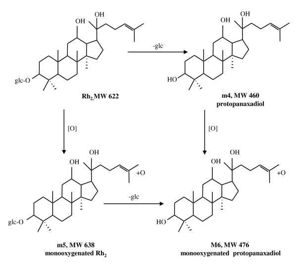 Figure 5