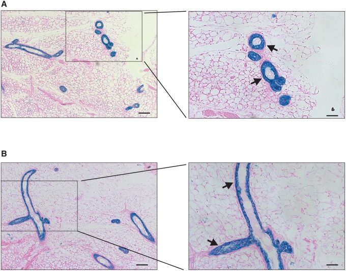 Fig. S1.