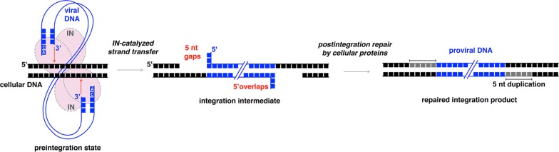 Fig. 1