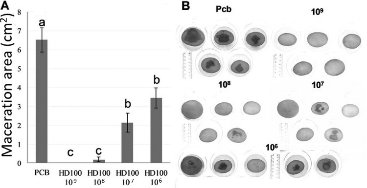 FIG 3