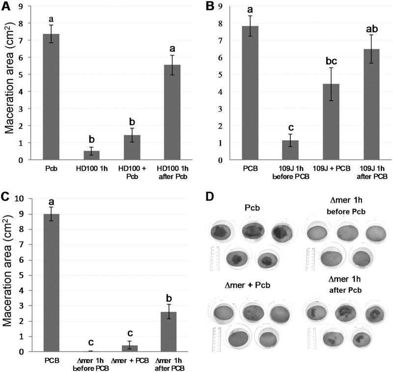 FIG 2