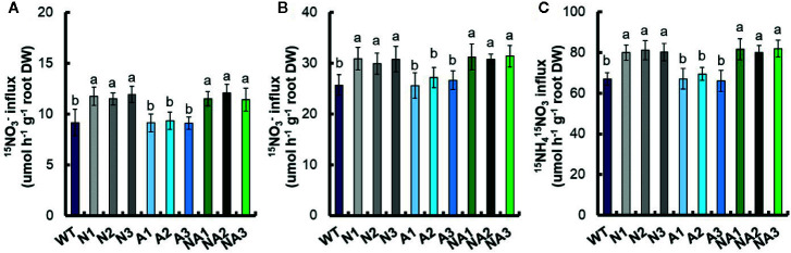 Figure 7