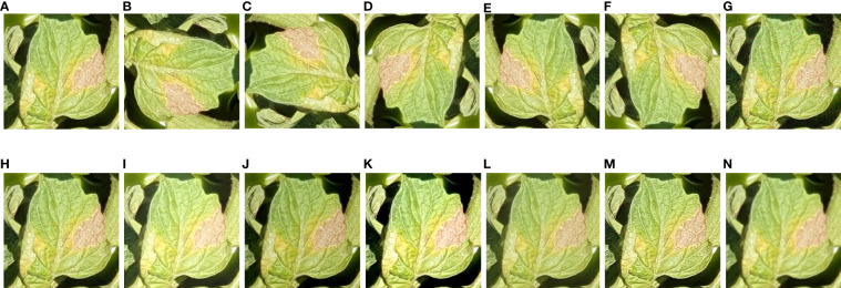 Figure 3