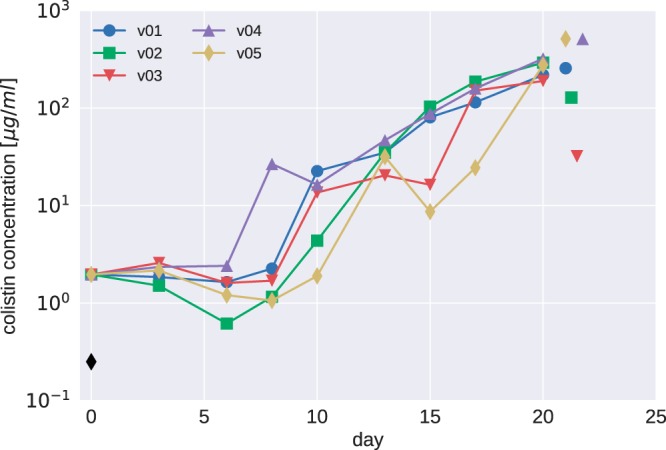 FIG 2