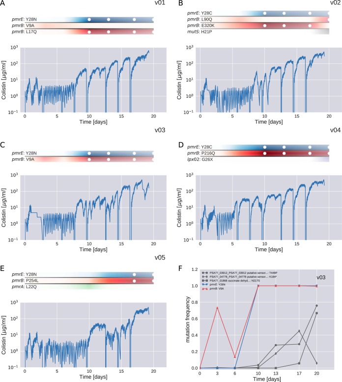 FIG 3