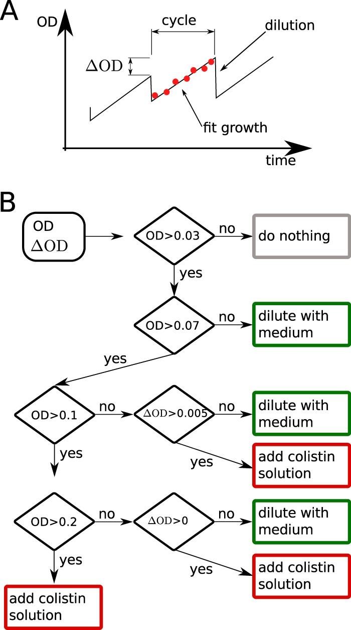 FIG 6