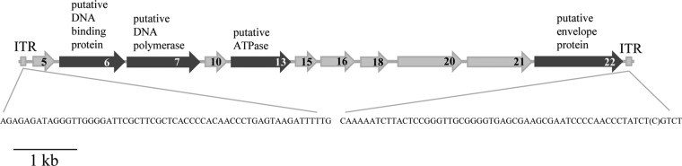 FIG 2