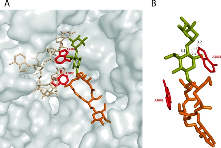 FIG. 7.