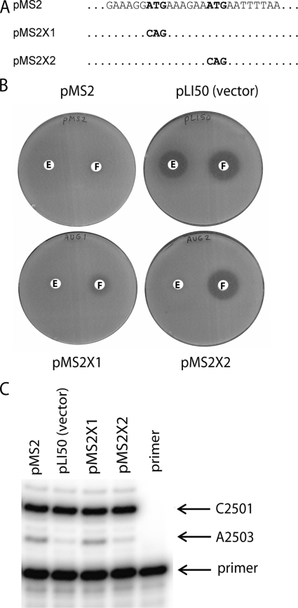 FIG. 5.