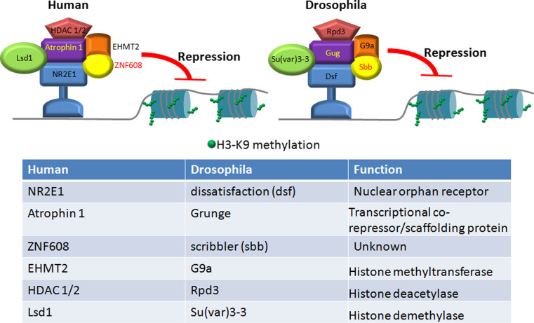 Fig. 3