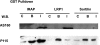 FIGURE 10.