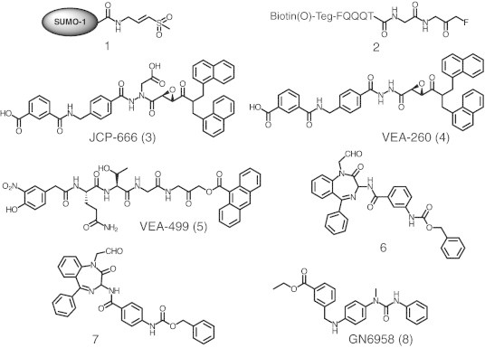 Fig. 2