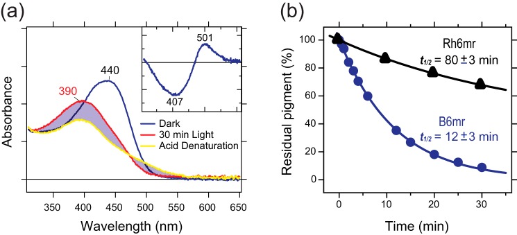 Figure 6.