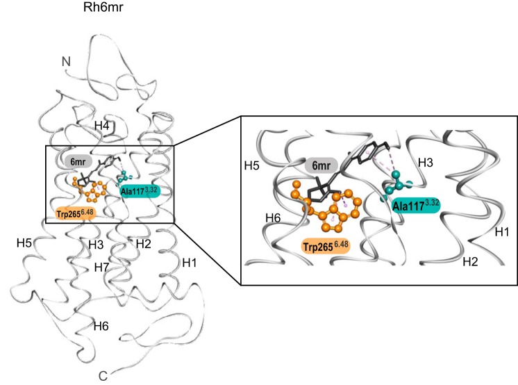 Figure 4.