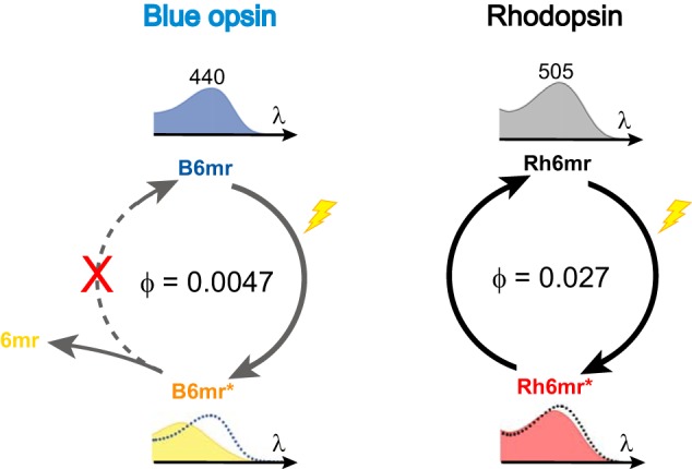 Figure 7.