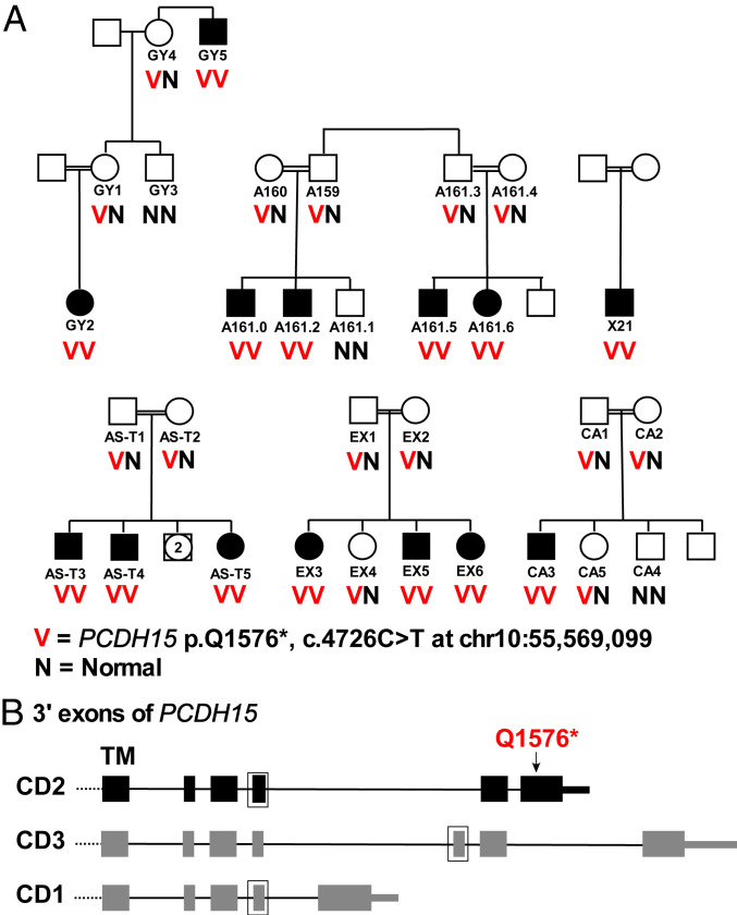 Fig. 4.