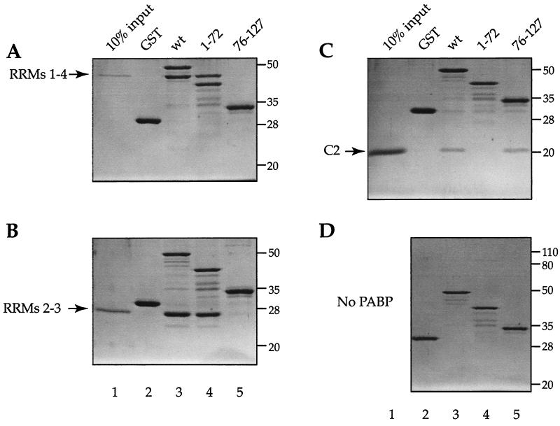 FIG. 6