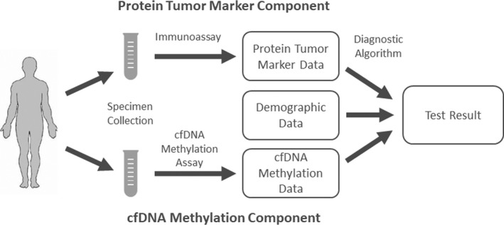 FIGURE 1