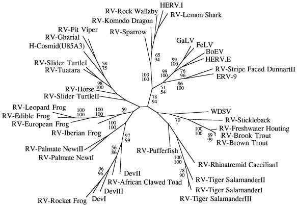 FIG. 4