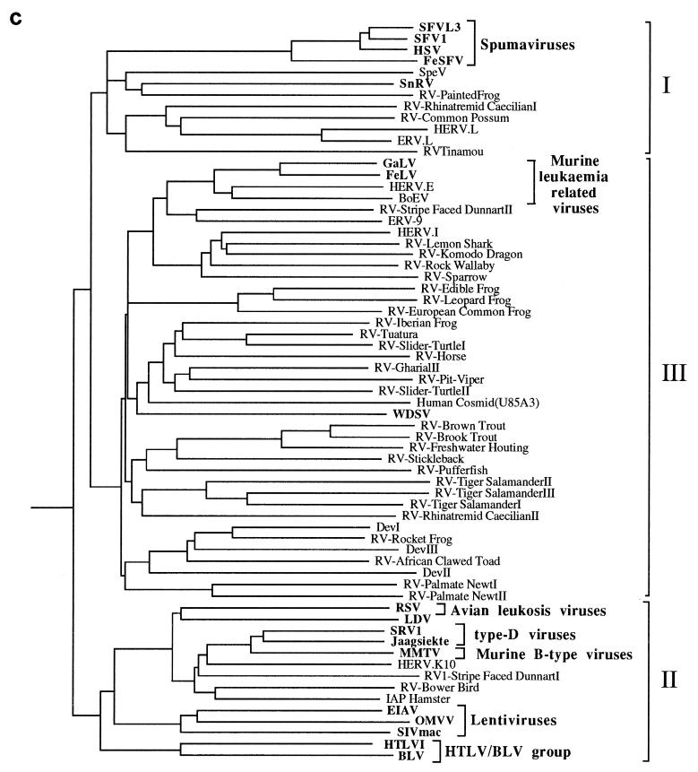 FIG. 3