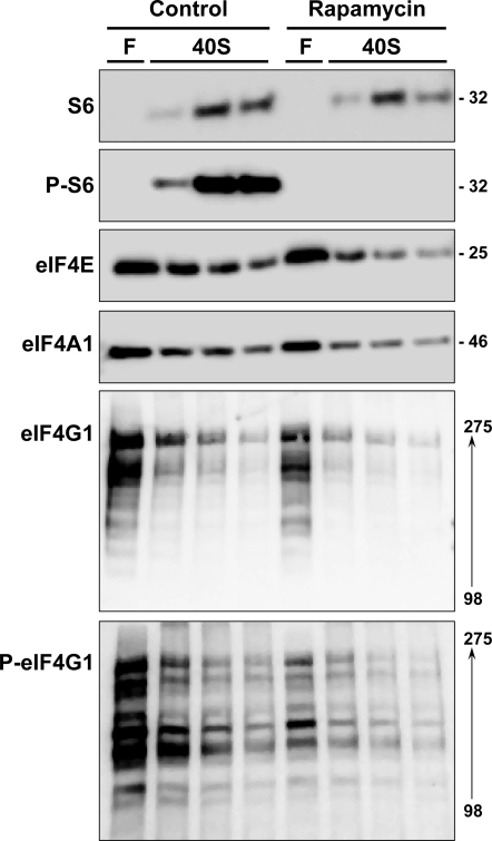 Fig. 9.