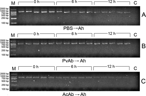 FIGURE 2.