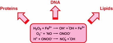 Fig. 2
