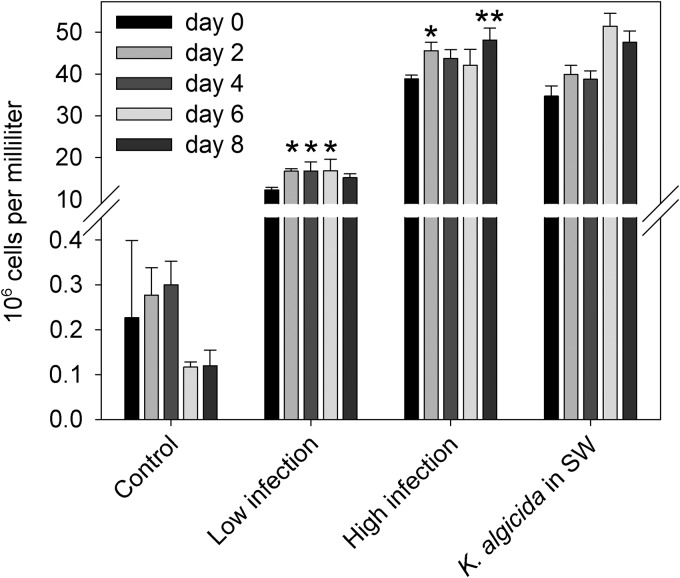 FIG 3