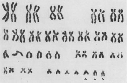 Fig. p133-a