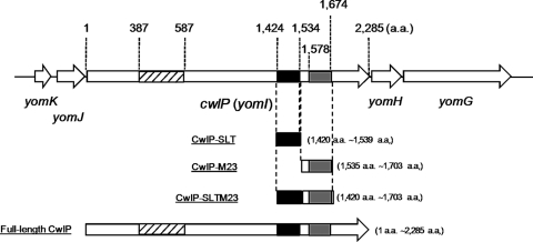 FIGURE 1.