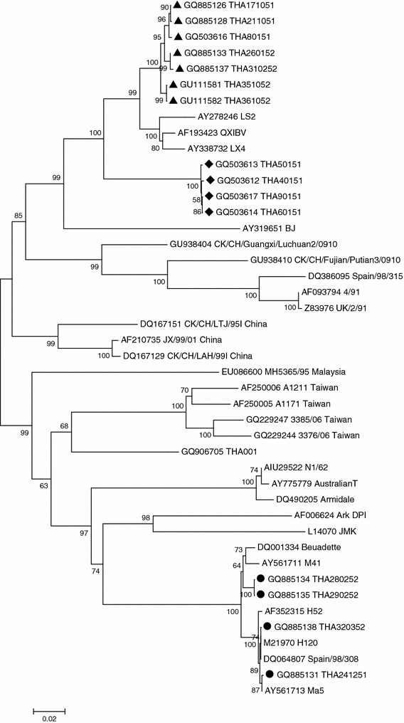 Fig. 1