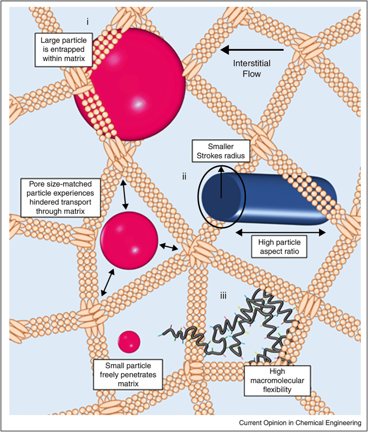 Figure 5