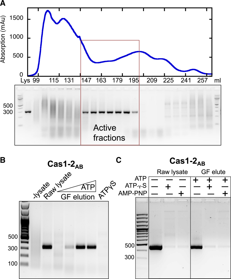 Figure 6.