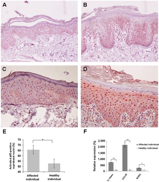 Figure 5