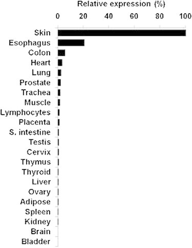 Figure 4