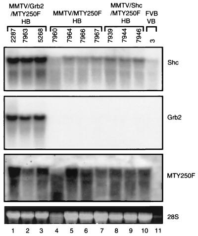 FIG. 6