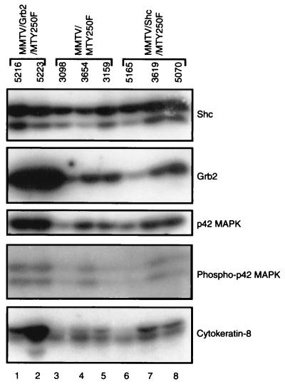 FIG. 8