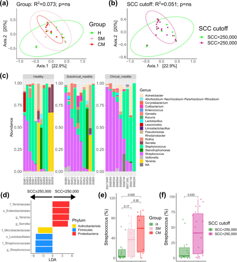 Comparison of microbial community composition and Streptococcus abundance across H, SM, and CM groups, with data segmented by SCC cut-off. Principal coordinate analysis indicates no significant group differences.