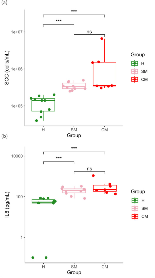 Box plots compare SCC and IL8 levels across H, SM, and CM groups. Significant differences are observed between H and SM, and H and CM, but not between SM and CM.