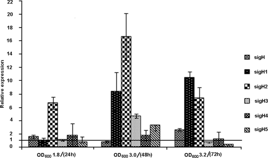 FIG. 2.