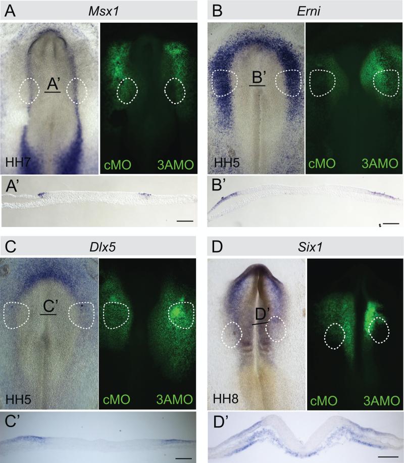 Fig. 4