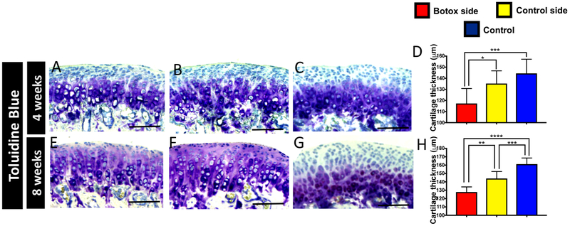 Figure 4: