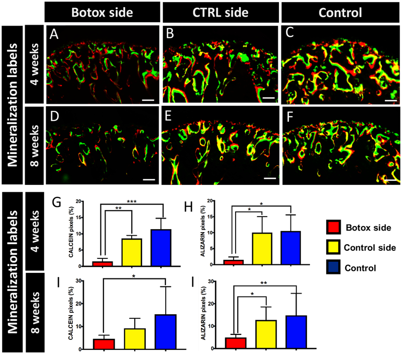 Figure 3:
