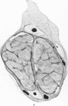 394-3